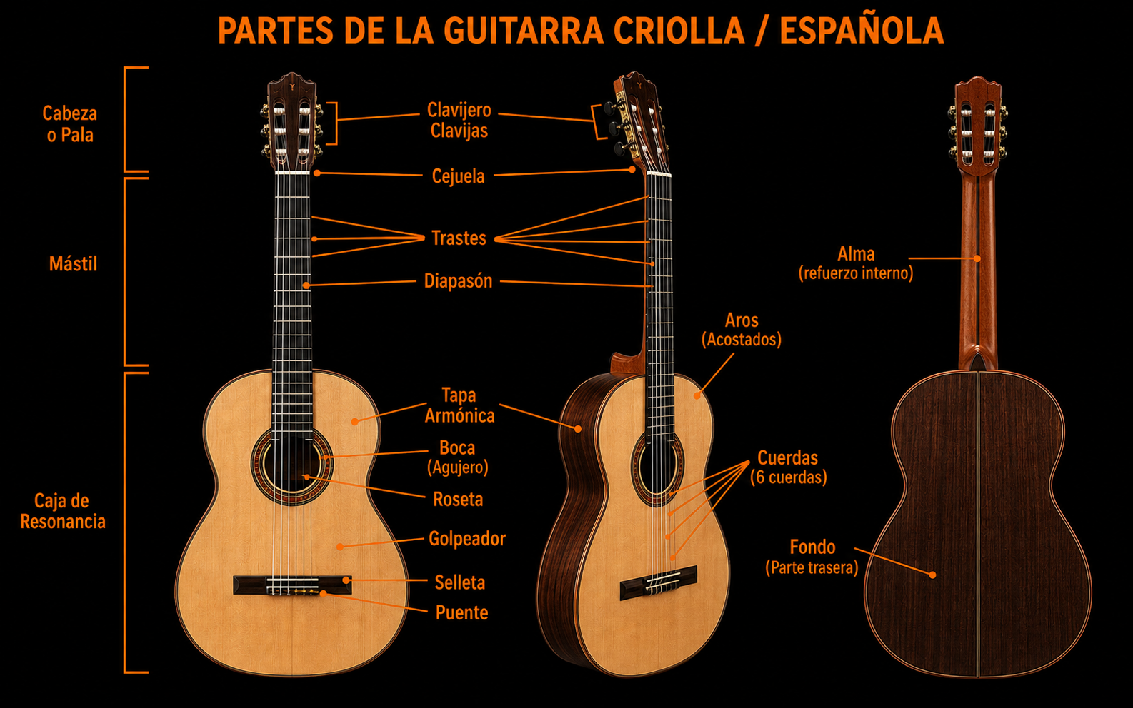 Partes de la Guitarra Criolla / Española